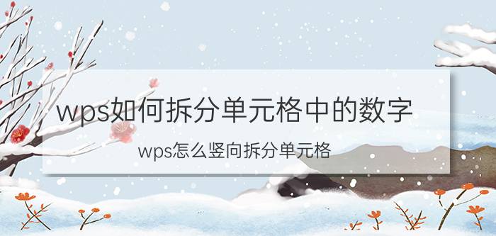 wps如何拆分单元格中的数字 wps怎么竖向拆分单元格？